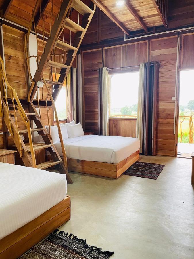 Rock Shade Chalet- Sigiriya Room photo